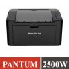 Pantum P2500W Wireless Laser Printer