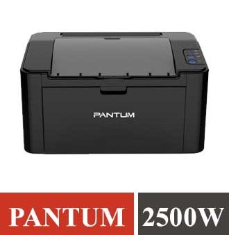 Pantum P2500W Wireless Laser Printer